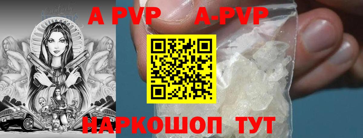 А ПВП СК КРИС Балтийск