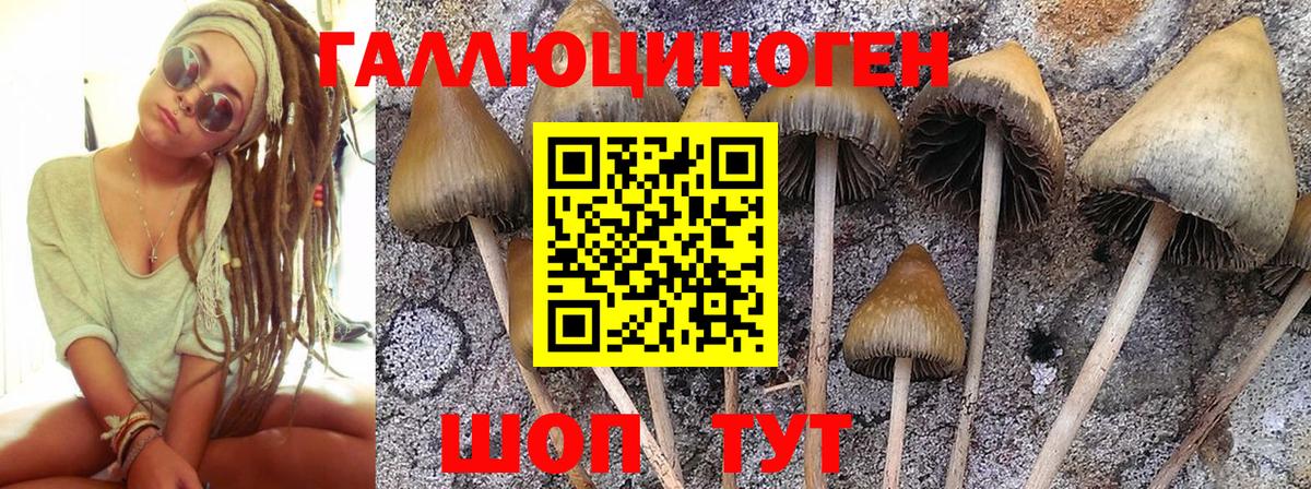 Балтийск  Псилоцибиновые грибы ЛСД  Галлюциногенные грибы GOLDEN TEACHER  Вход с VPN 